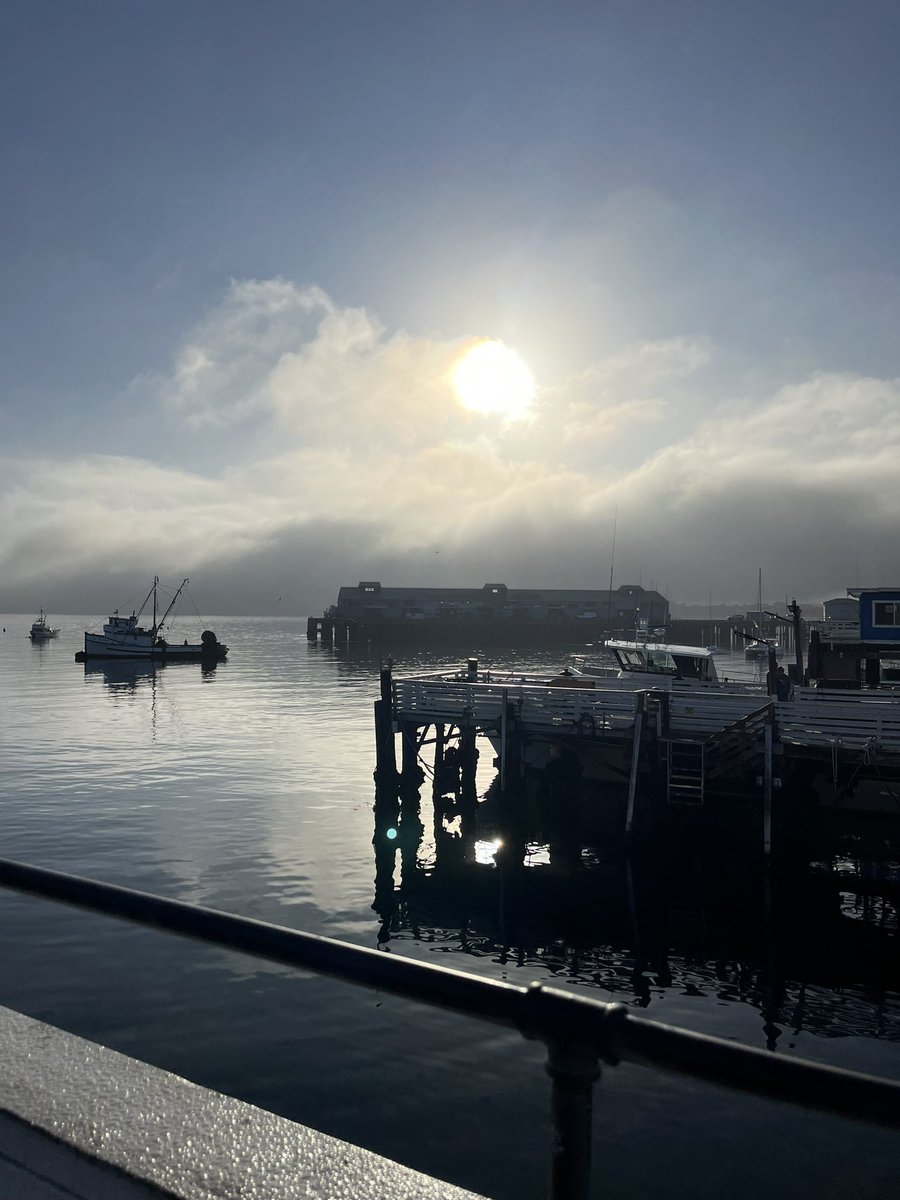 SushiBao's tweet photo. Just an hour difference between these photos from my #morning #namjooning adventures. The fog shows up randomly and then goes away again or stays. It went away by the end of my walk. #freshairtherapy #SaturdayVibes #CALiving https://t.co/ndX1xuxtEt