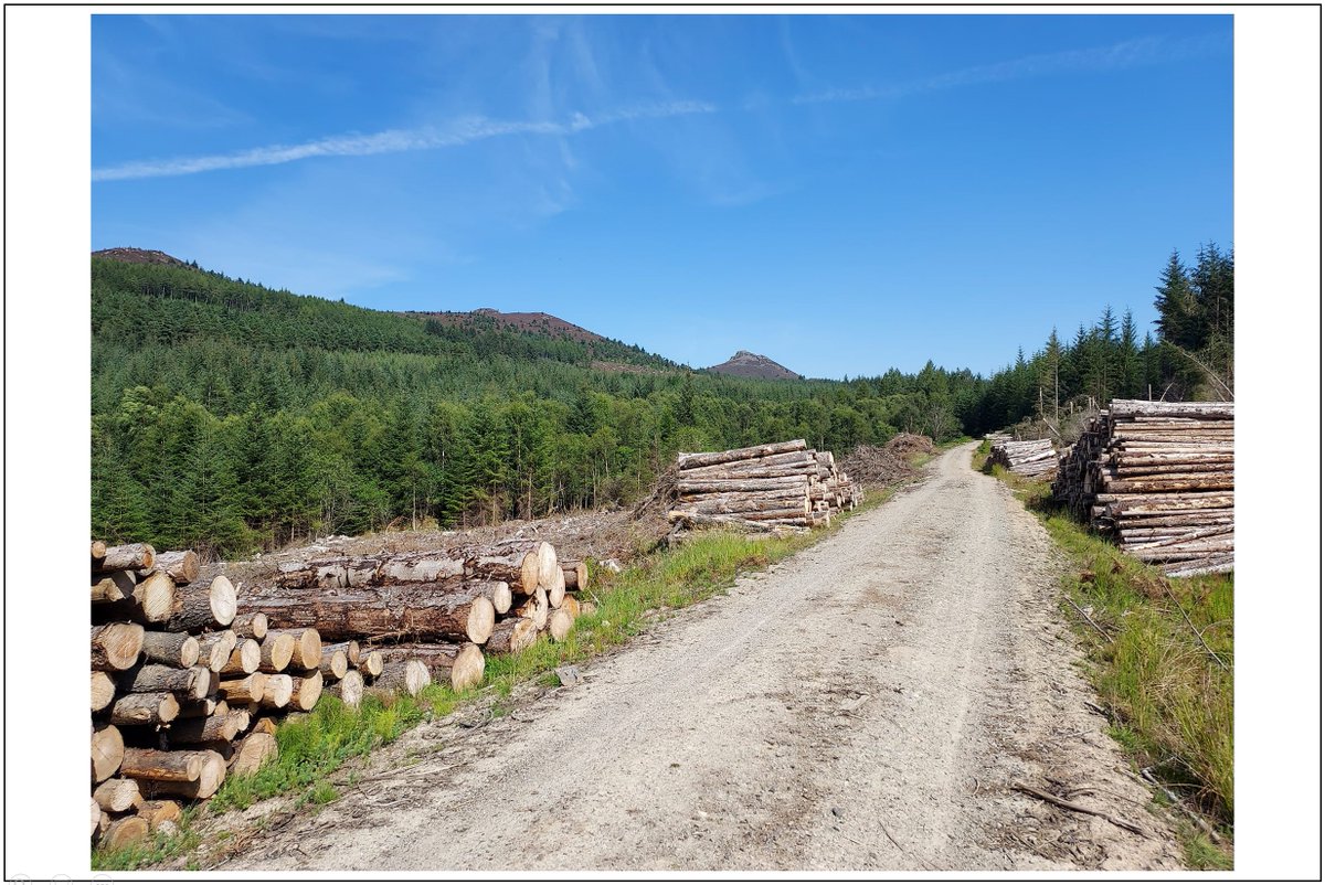 865 (Portlethen) Air Cadets tweet media