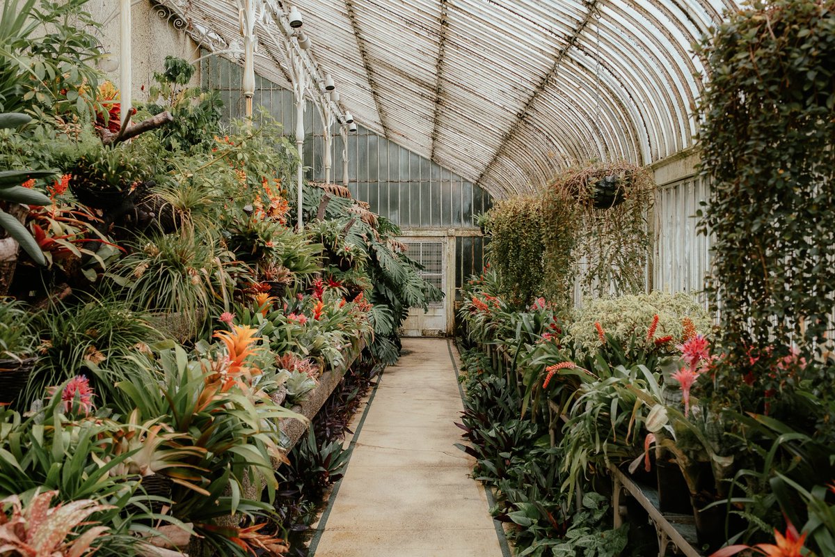 _dsek's tweet photo. A stroll through Botanic with my #x100v #fujifilm https://t.co/fCBEV3xAD3