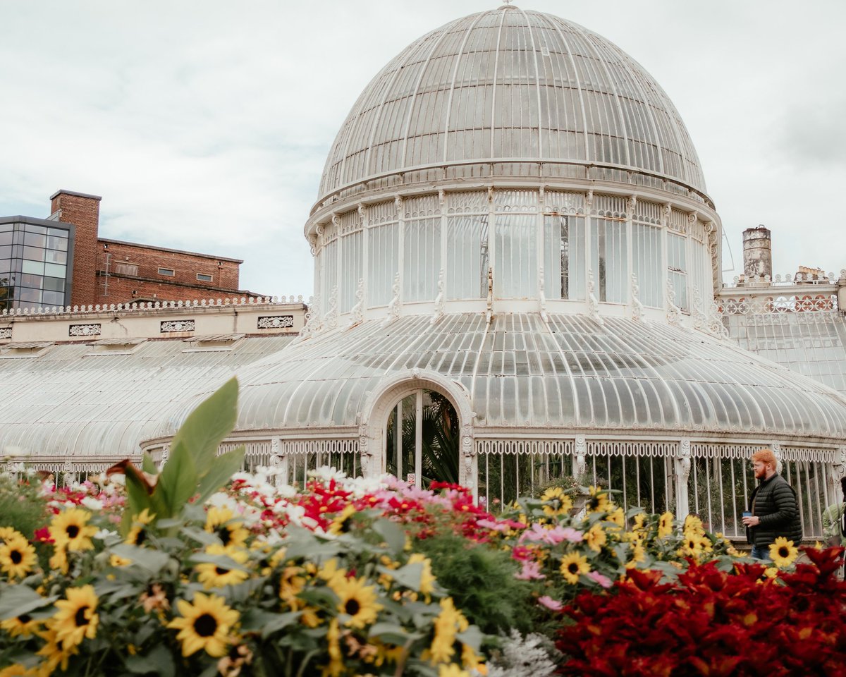 _dsek's tweet photo. A stroll through Botanic with my #x100v #fujifilm https://t.co/fCBEV3xAD3