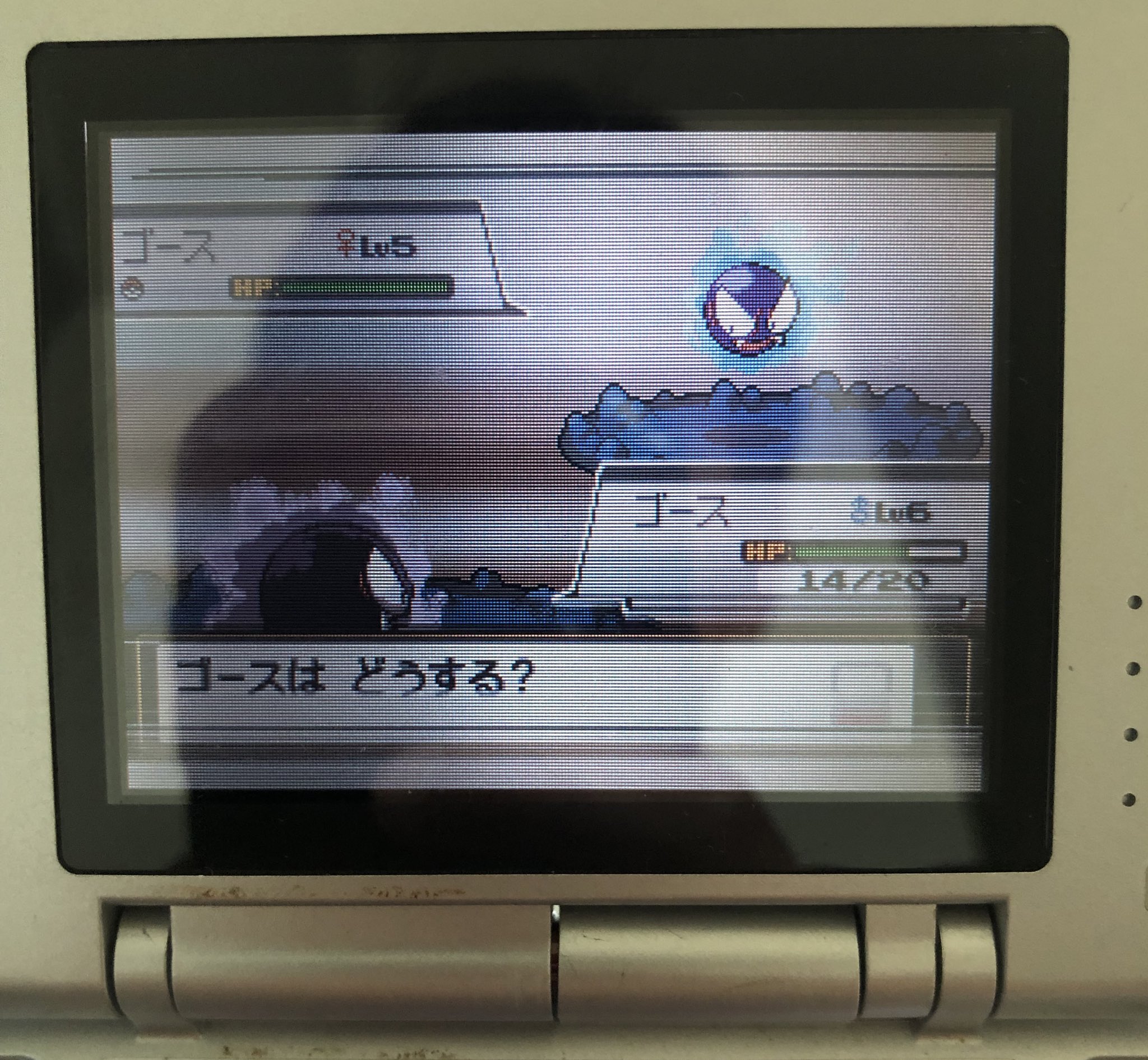 どぅん助 ポケモンss色厳選 9aqtvx8bzlcl6xq Twitter