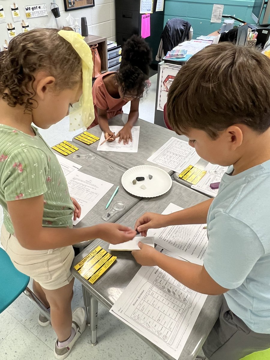 Talia Daniel tweet media