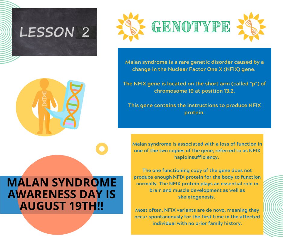MalanSyndrome's tweet photo. The countdown to Malan Syndrome Awareness Day continues! Lesson 2️⃣ 🧬
Help us reach our goal of $50,000! Please visit https://t.co/tkBTsQBp9q to donate. Every dollar donated goes towards research!
#GrowHope4Malan #MalanSyndromeAwarenessDay #ResearchIsKey #NFIX https://t.co/xm7SmxUS0G