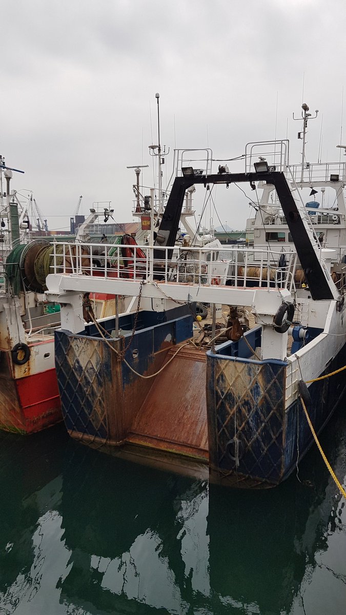 Apez140's tweet photo. #Ratos
De #Proas y #Popas de unos #Arrastreros abarloados al muelle de la Lonja en una Dársena del Barrio Pesquero, #LaBahíaDeSantander...🧚‍♂️😎
#ShipsInPics https://t.co/i33P07TxxQ