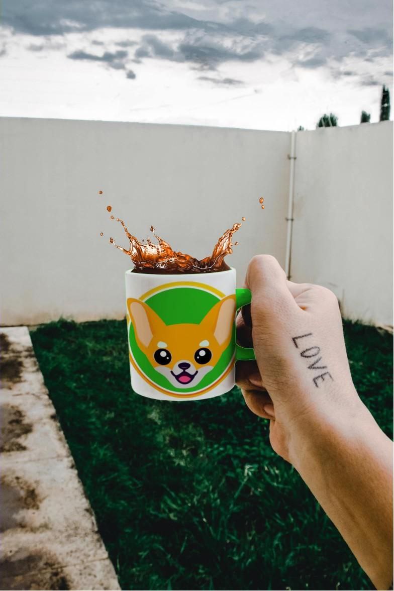 cezinaldo de souza pavão (@cezinaldop) on Twitter photo 