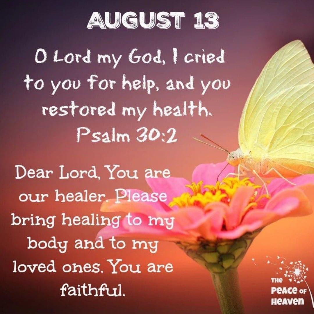 deborah_saffer's tweet photo. #GoodMorning All. Happy #Saturday. Went ahead & kept #Schedule. @josh_saffer & I have already #weeded, #raked, #trimmed, and cleaned up the #Front & #Side yard. #SelfCareMatters I Hope Everyone has a Truly #Blessed Day & Much #Unconditional Love Always 💛#Motivated #RecoveryGoals https://t.co/EsQnA4gd4F