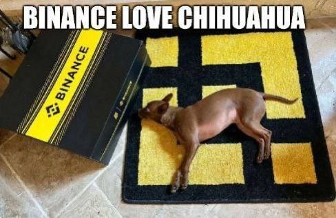 cezinaldo de souza pavão (@cezinaldop) on Twitter photo 