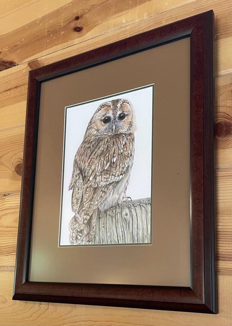 studio22artz's tweet photo. And another happy customer sharing a photo of one of my originals framed up nicely on their wall today. Love to see my work in situ. #art #owls #drawing https://t.co/CzknLqoMi2