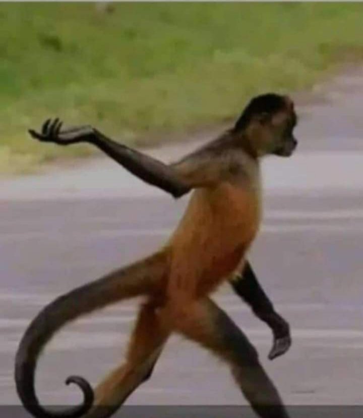 Tumetulia ya kutosha watupee kura zetu tujipelekee bomas 😂😂