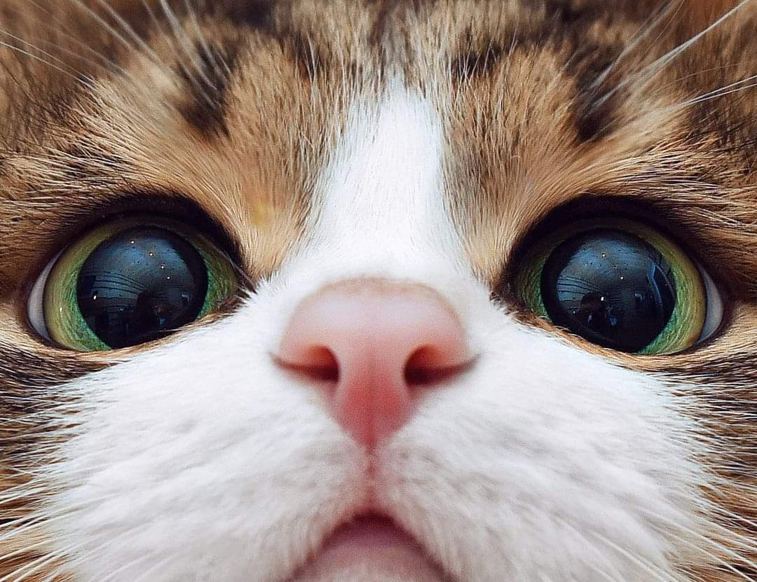 Be Patient
Everything comes to you in right moment