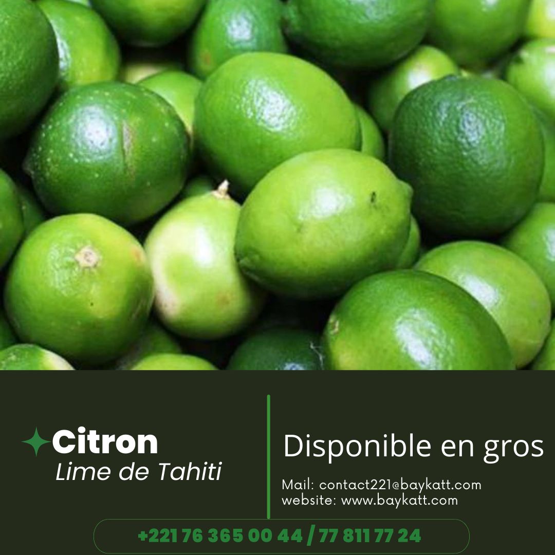 junior_ardo's tweet photo. Citron disponinle en très grosse quantité à Keur Moussa sur la route de Thies. 
@Baykatt!!! https://t.co/Um2uouufwS