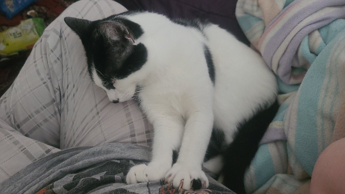 Toxic Angel 😇 tweet media