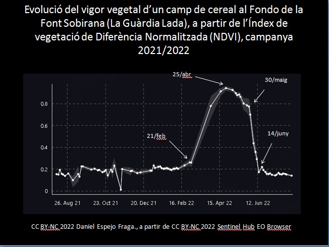 daniesfra's tweet photo. En La Guàrdia Lada, a la sub-comarca segarrenca de Els Comalats, dominen els cultius herbacis de secà (71,8% supf) com a hàbitat encara ric en elements que afavoreixen la biodiversitat: marges arbrats, terrasses amb murs de pedra seca, cabanes. #LaGuardiaLada #laSegarra https://t.co/hGJZP4iHBM