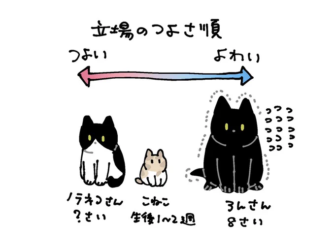 今日の絵日記を簡単にまとめるとこういうことです 