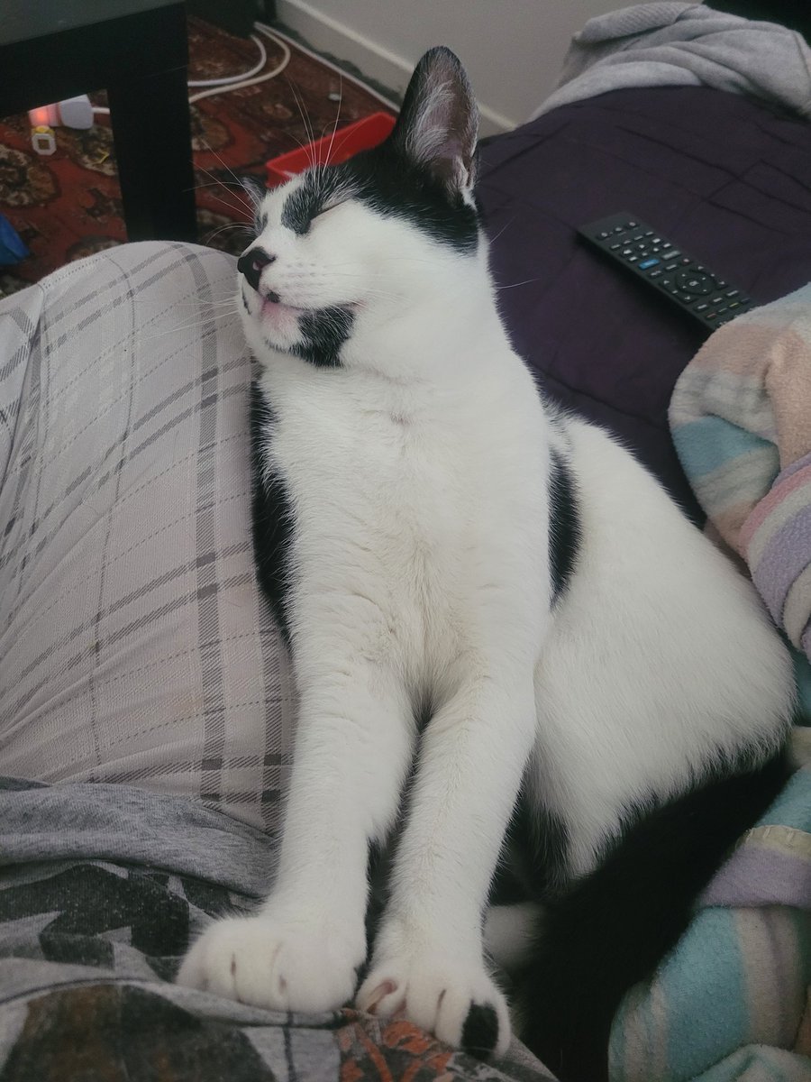 Toxic Angel 😇 tweet media