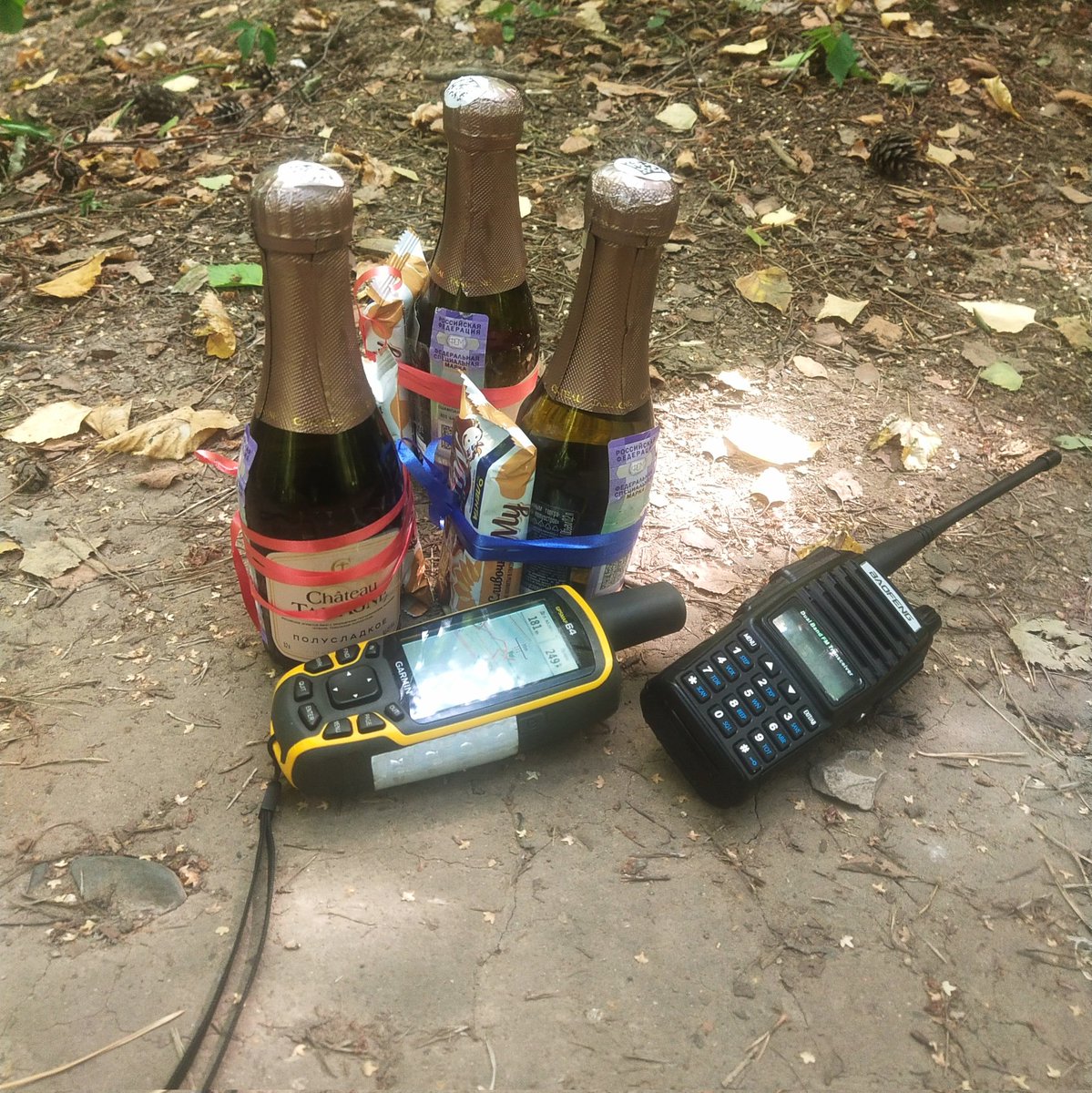 Рыжий лис_ЛА tweet media