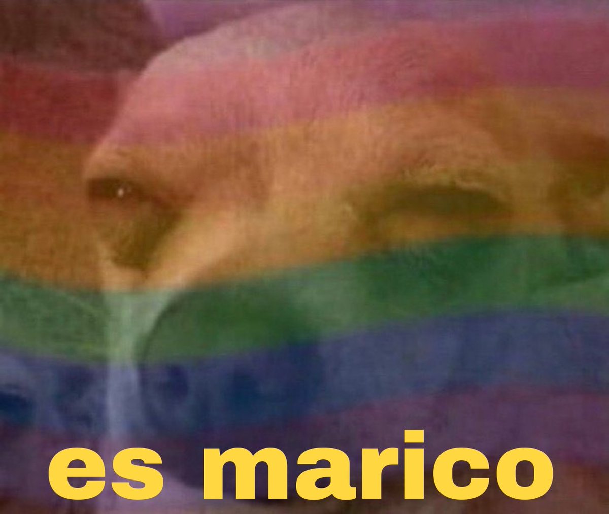 Cuando mis primos me veían elegir a Chun-li en el Street Fighter