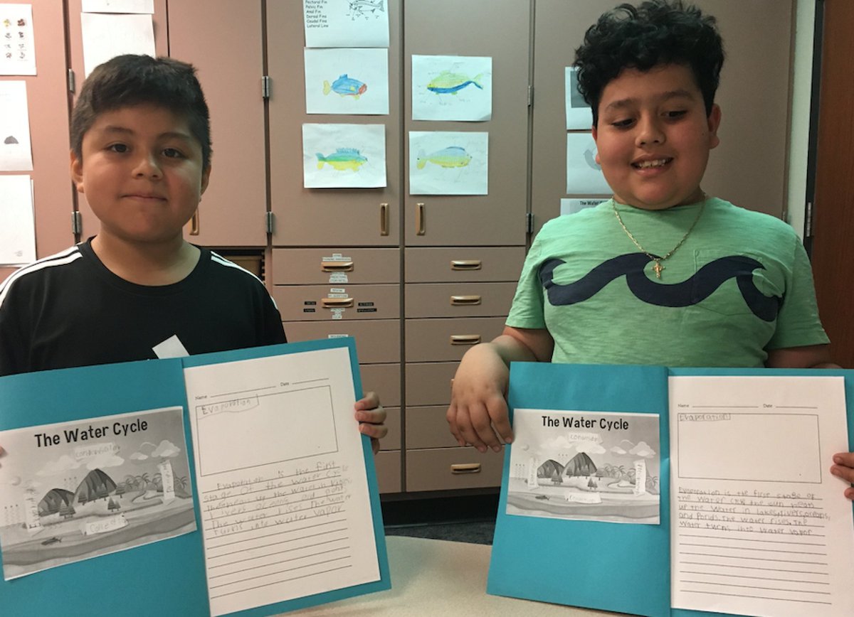 196Multilingual tweet media