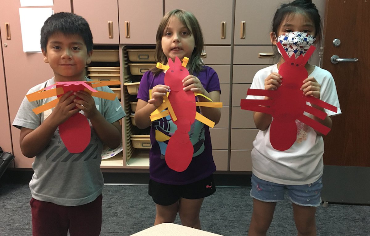 196Multilingual tweet media