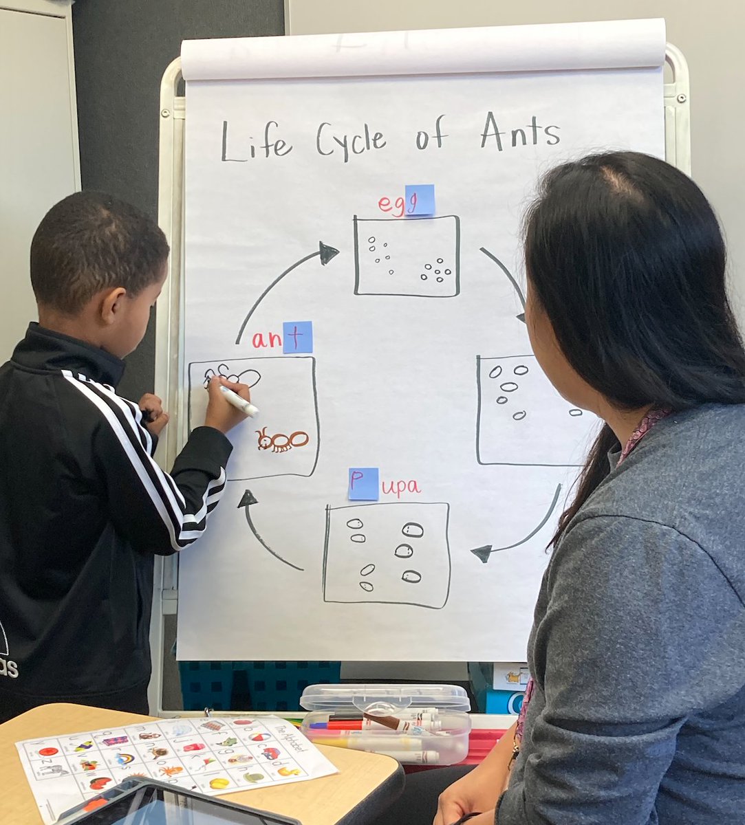 196Multilingual tweet media