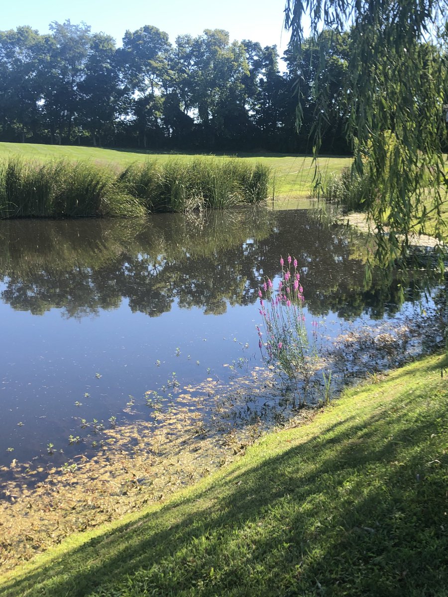 jimbakercre's tweet photo. Is this heaven? Almost ... it’s Southern Indiana and one of the most beautiful places on earth. Before you venture to a far off place, look in your own backyard. That’s where you may find the life you’ve always wanted and dreamed about. https://t.co/nGObwCbWz8