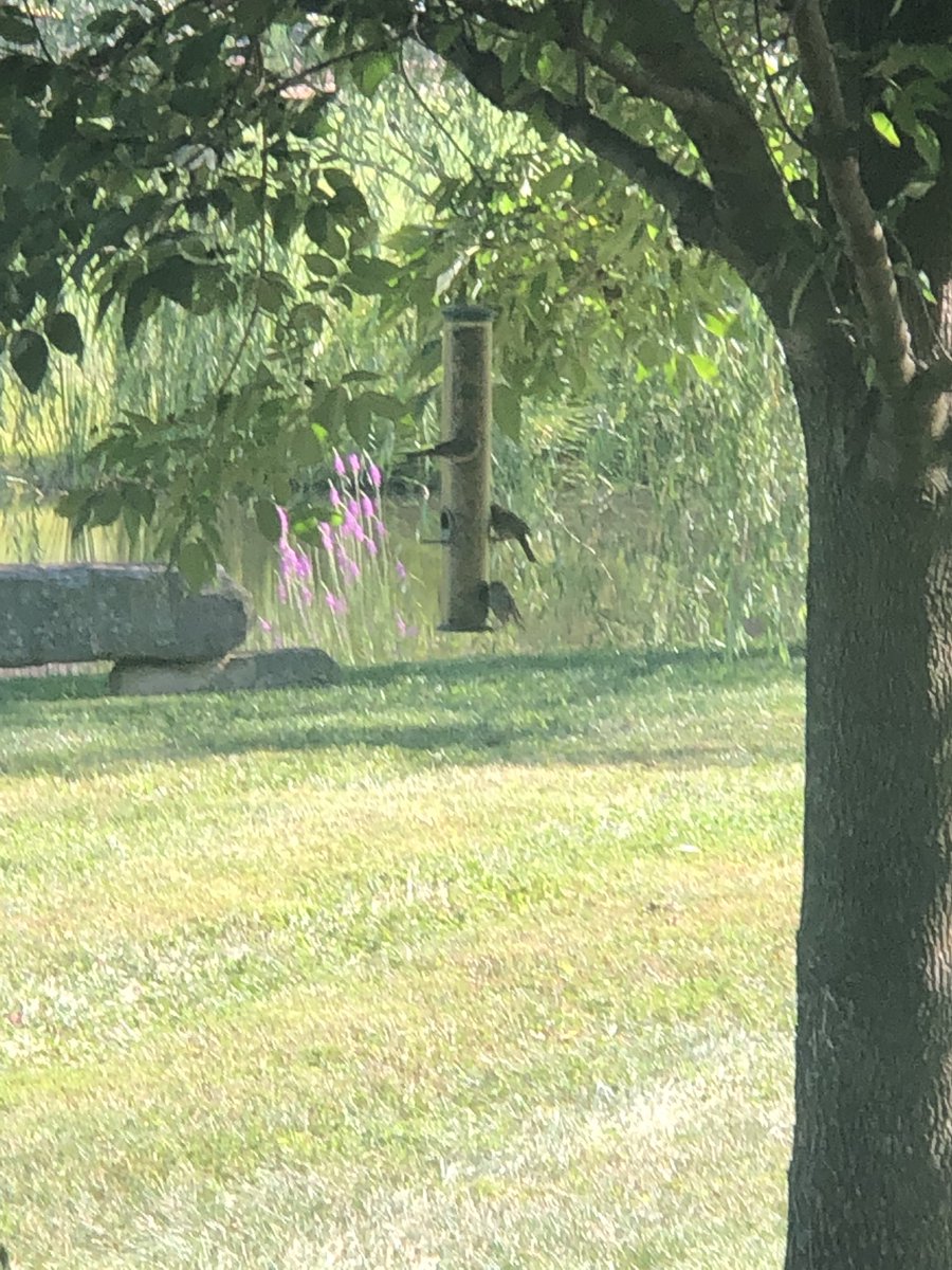 Is this heaven? Almost ... it’s Southern Indiana and one of the most beautiful places on earth. Before you venture to a far off place, look in your own backyard. That’s where you may find the life you’ve always wanted and dreamed about.