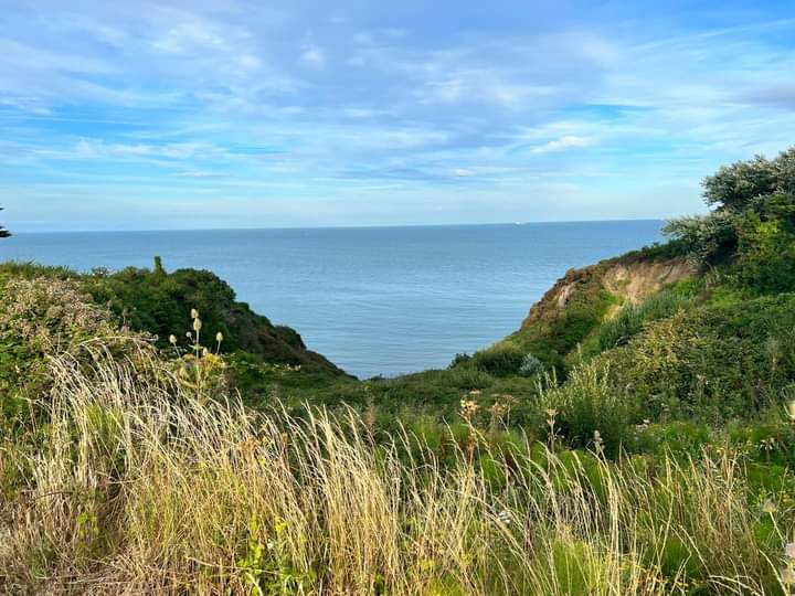 13thBromley's tweet photo. The views from the #yarboroughmonument on the CO’s walk . Such a calming and relaxing activity for day one #team13 #iow #eveningwalk #enjoyingtheview☀️ #boysbrigade #girlsbrigade https://t.co/ACy6ME5tBH