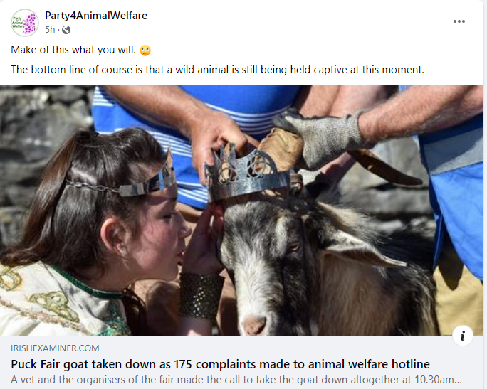 AnimalPartyIE's tweet photo. Make of this what you will. 🙄
The bottom line of course is that a wild animal is still being held captive at this moment.
https://t.co/JDtG8cMkKf
#BanPuckFair #KingPuck
#BoycottPuckFair
#ForPuckSake 🐐🐐
#BanBloodSports
#StopAnimalCruelty
#StopPuckFair
#PuckOff
#Killorglin https://t.co/U4tExnc78e