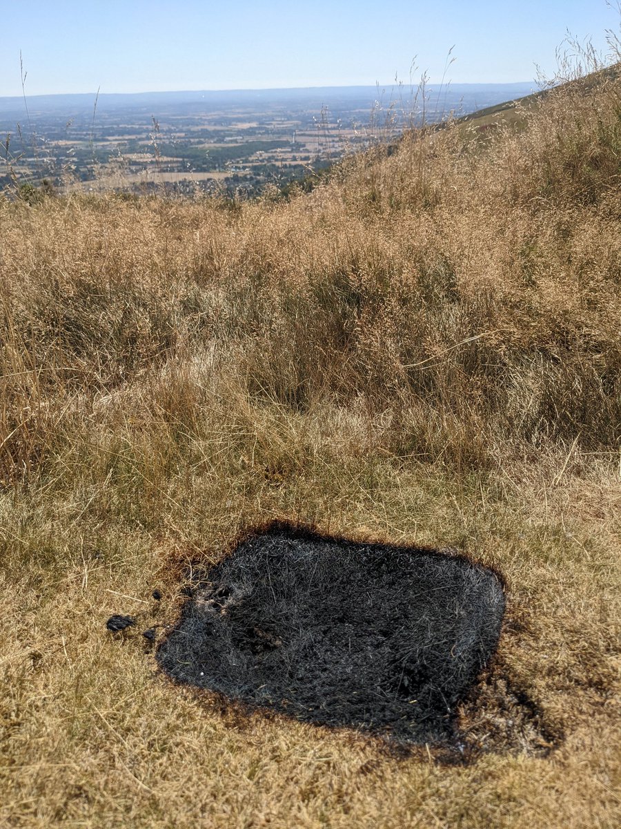 ginger_journo's tweet photo. Spotted in the Malvern Hills. Everything is tinder dry - miracle it didn't start a wildfire. Don't do it folks - just DON'T DO IT! #disposablebbqs https://t.co/lI2RZFWbz7