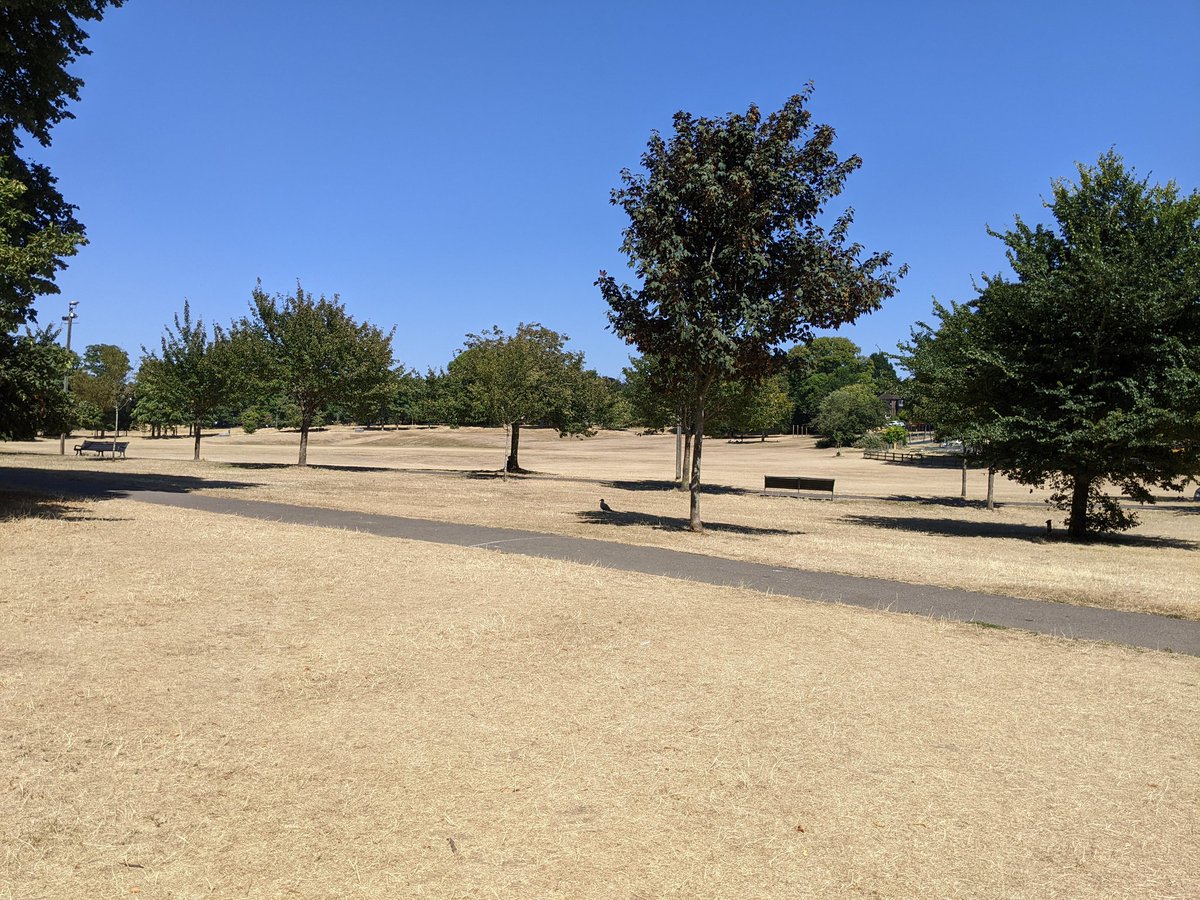 TeganTallullah's tweet photo. This is what my local park looks like today. Two heatwaves &amp; drought. 

This is *not* just Summer. I've lived here for years and I've never seen anything like this. It's always lush &amp; green all year round. 

#ClimateChange is happening now.
#Heatwave2022 #Drought2022 https://t.co/530uJhMvRP