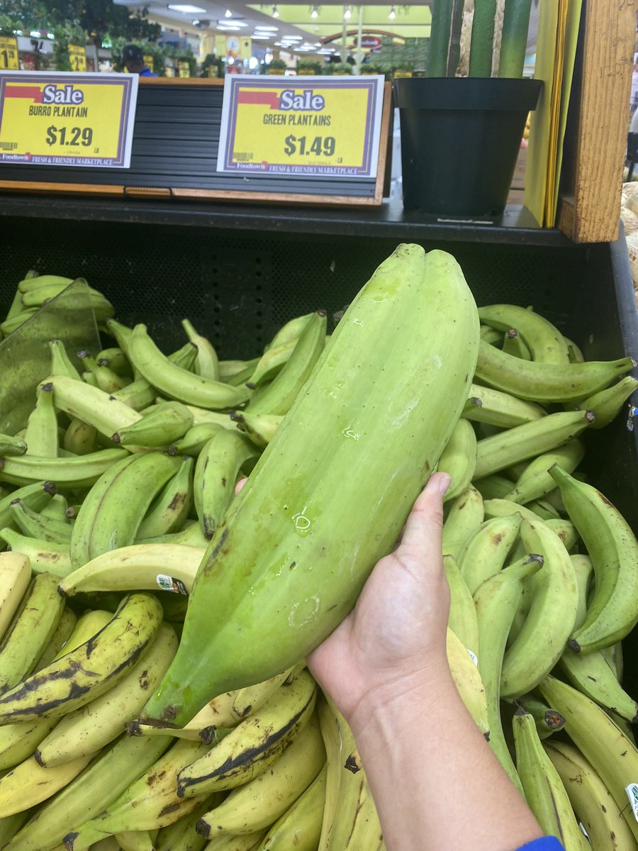 Kiera Wright-Ruiz tweet media