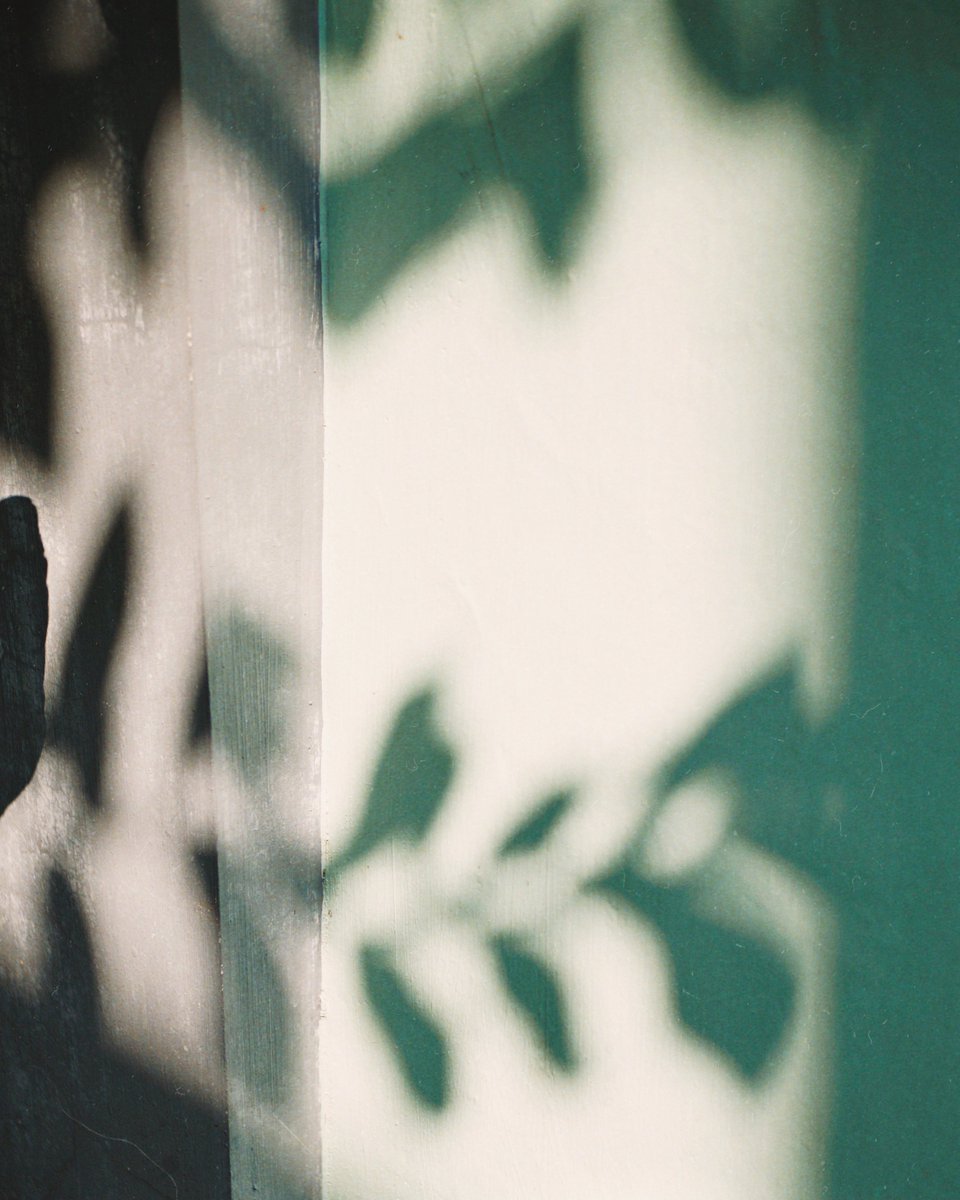 ijonrobles's tweet photo. what i see 📸 shot on #SonyNEX6 #35mm f/1.7 // #photography https://t.co/sIElFgsW6n