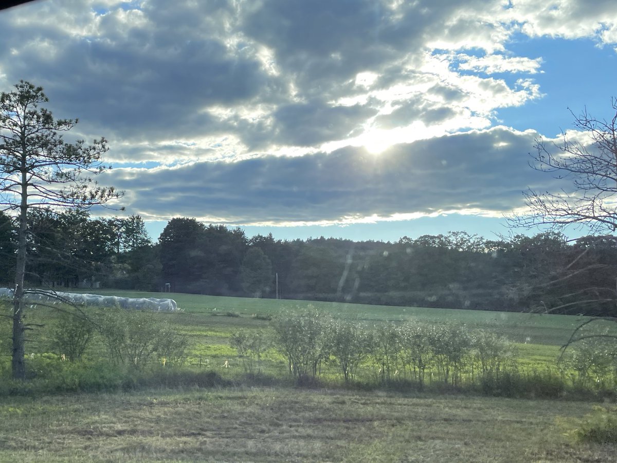 Coach_Alameda's tweet photo. Quick visit to the great state of Vermont .. sharing some 🥎 fun with good people! What beautiful places this game can take you!! #grateful4ball https://t.co/SoNkubrfsz