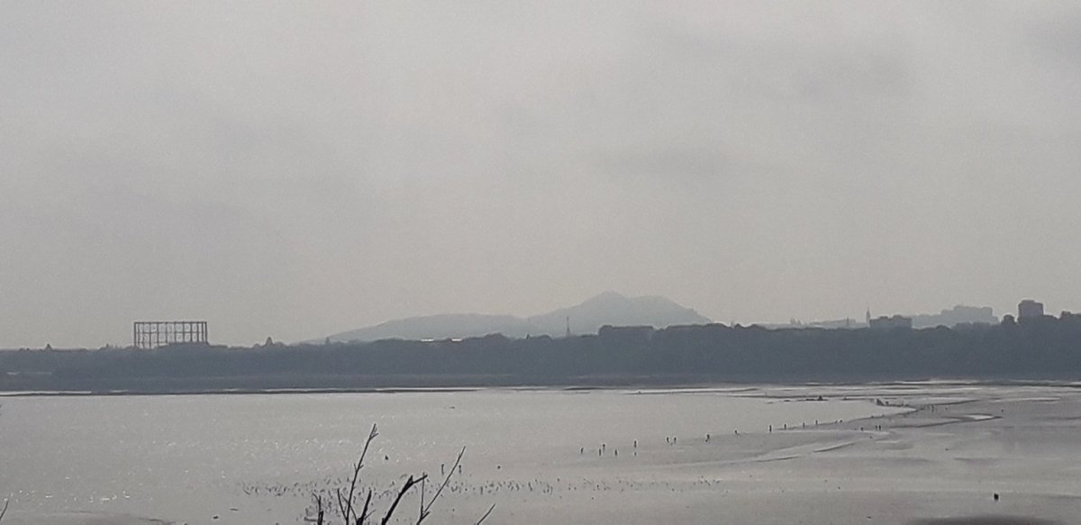 aljaroo1874's tweet photo. My cool down after #EdinburghParkrun was a lovely walk over the #causeway next to the #AntiBoatPylons to #CramondIsland https://t.co/wgBpSOsJXb