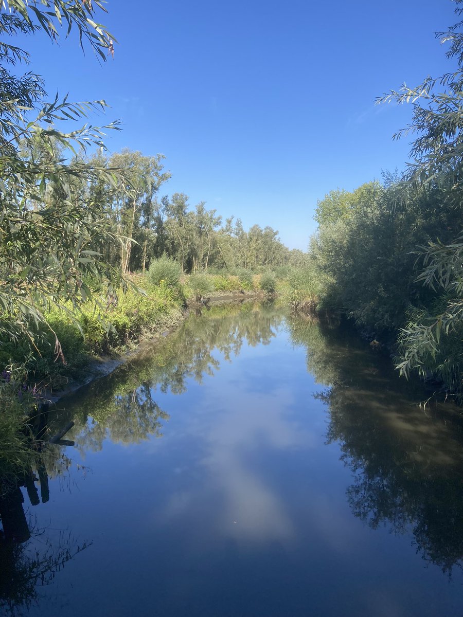 Getijdengebied Klein Profijt heerlijk gewandeld nog voor de warmte echt begint.  Blijft ieder jaargetijde uniek!