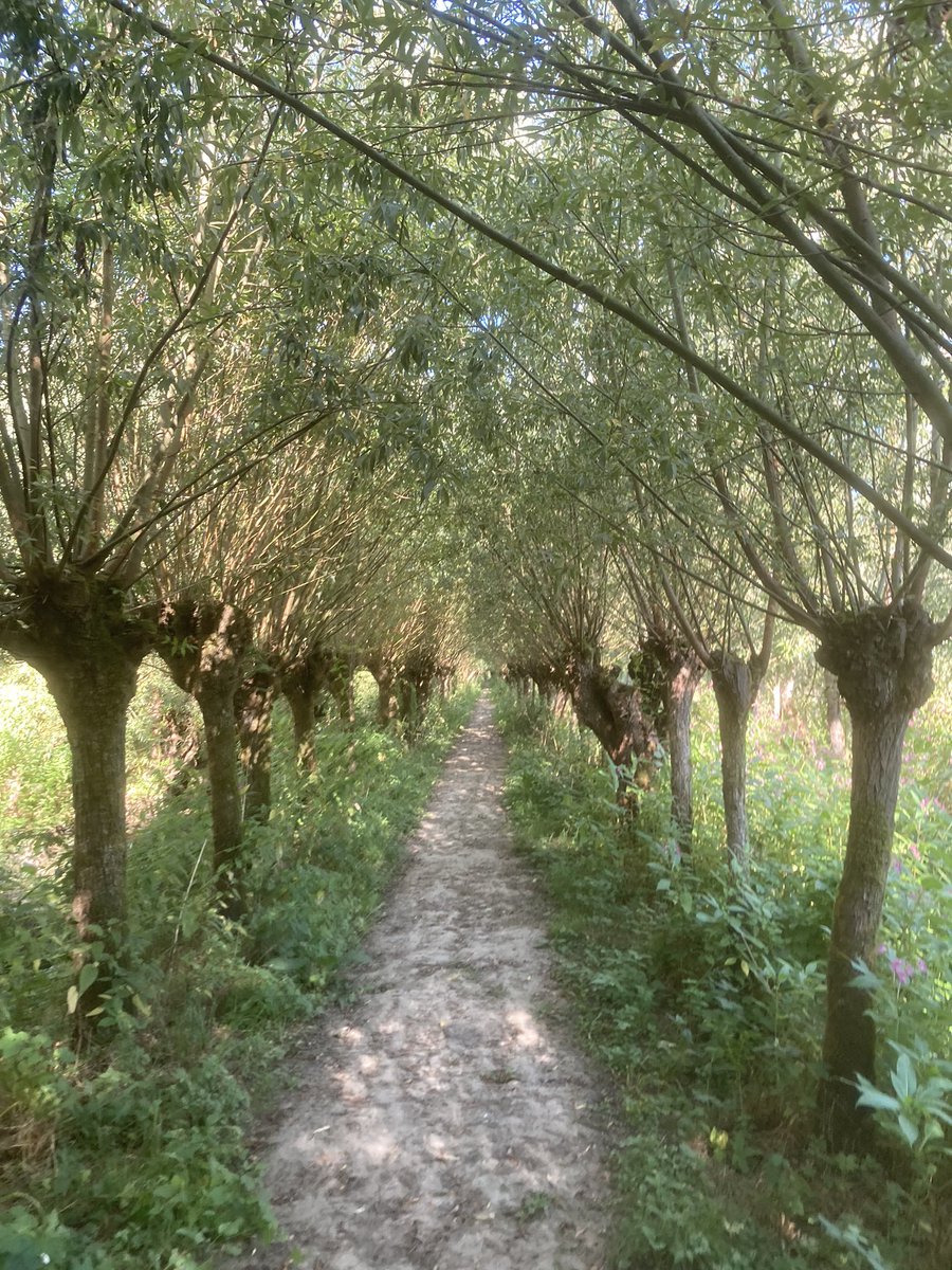 MgMartijn's tweet photo. Getijdengebied Klein Profijt heerlijk gewandeld nog voor de warmte echt begint.  Blijft ieder jaargetijde uniek! https://t.co/XHWNlM7YIW