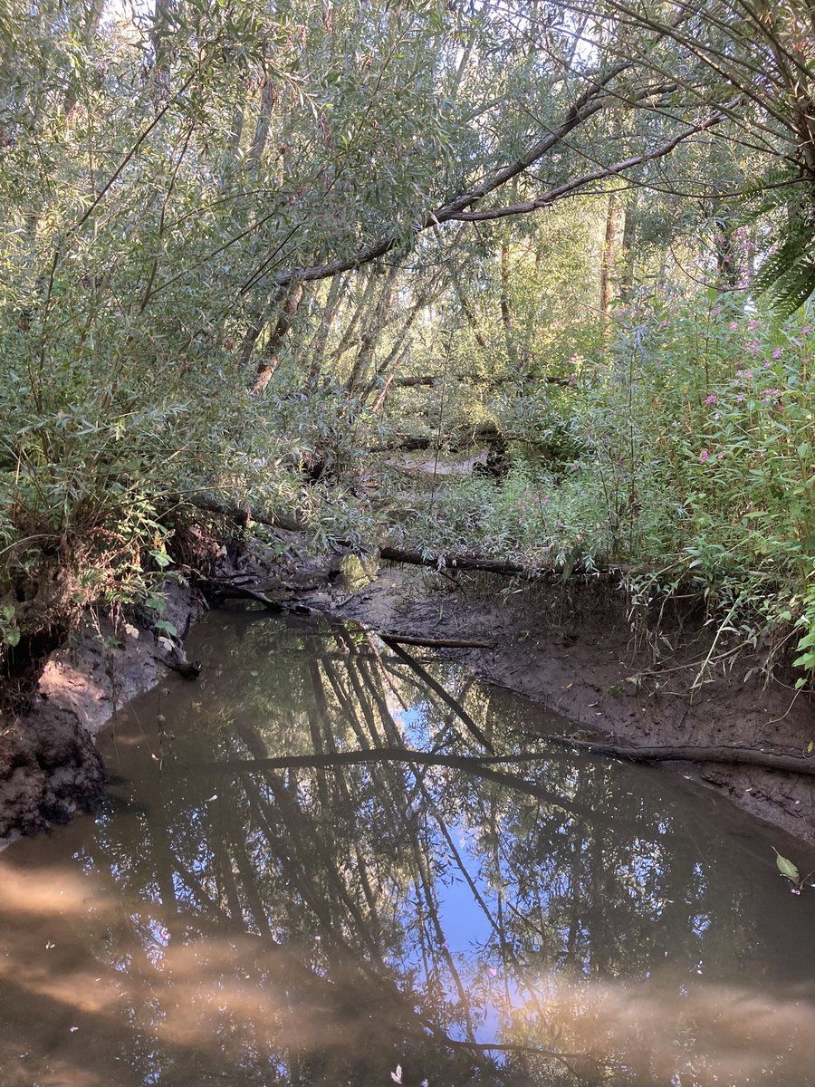 MgMartijn's tweet photo. Getijdengebied Klein Profijt heerlijk gewandeld nog voor de warmte echt begint.  Blijft ieder jaargetijde uniek! https://t.co/XHWNlM7YIW