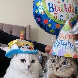 HAPPY HUENINGKAI DAY 😭❤ #AngelRockstarHueningkai