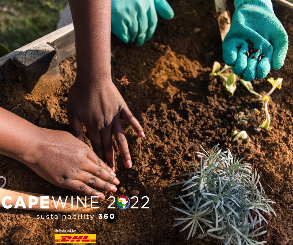 CapeWine2025's tweet image. CapeWine is connected to 13 organisations with direct links to the South African wine industry and actively promotes one or more of our pillars. They are exhibiting in the Hillebrand Stakeholder area, and we encourage visitors to engage with their representatives to learn more.