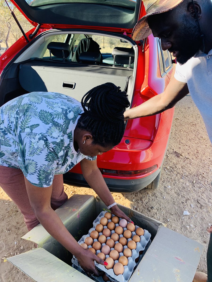MatNuugulu's tweet photo. Buy eggs nee guys! I can deliver them for free in the whole Windhoek ! N$ 70.00 

+26481 8040 904 https://t.co/Ytcr6SjJEn