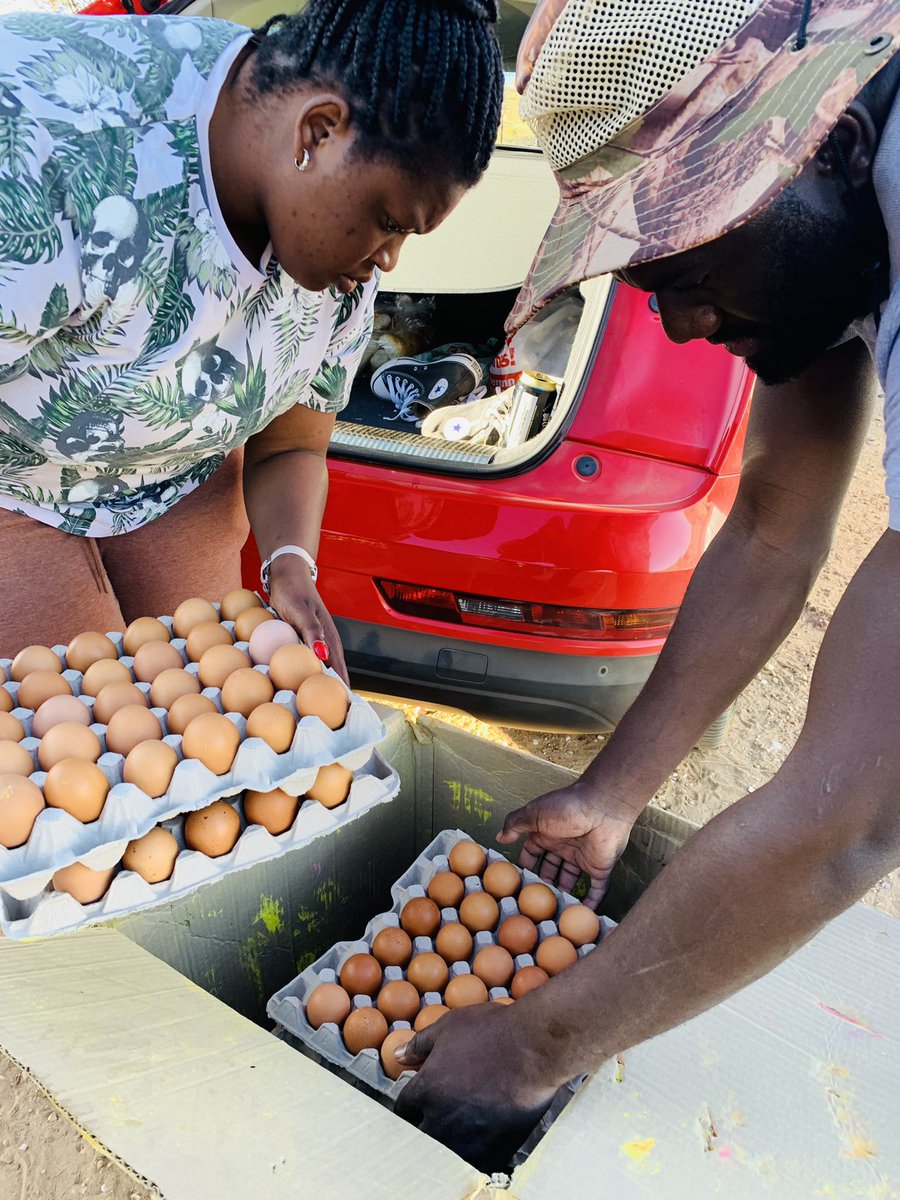 MatNuugulu's tweet photo. Buy eggs nee guys! I can deliver them for free in the whole Windhoek ! N$ 70.00 

+26481 8040 904 https://t.co/Ytcr6SjJEn