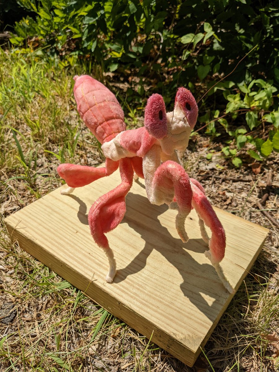 Lil_Sproutlings's tweet photo. Some really amazing one of a kind pieces are going up in my shop later today! Mantis, leaf bugs, beetles and more! https://t.co/QKlsbk7Xkf