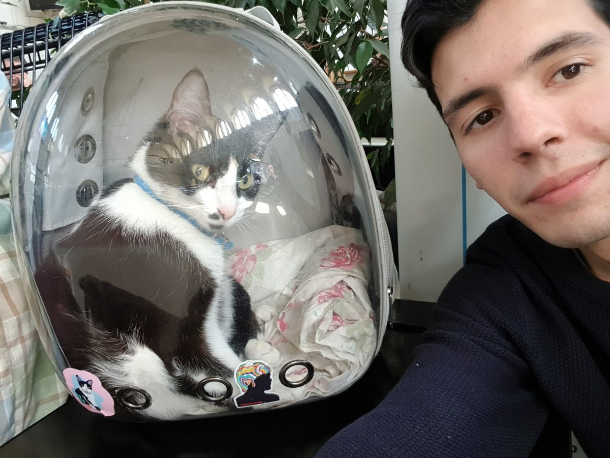 MBo5io's tweet photo. Dale @buquebus_ar @buquebus_uy que se desespera la criatura. #FreePipa https://t.co/o0oSM4eVCT