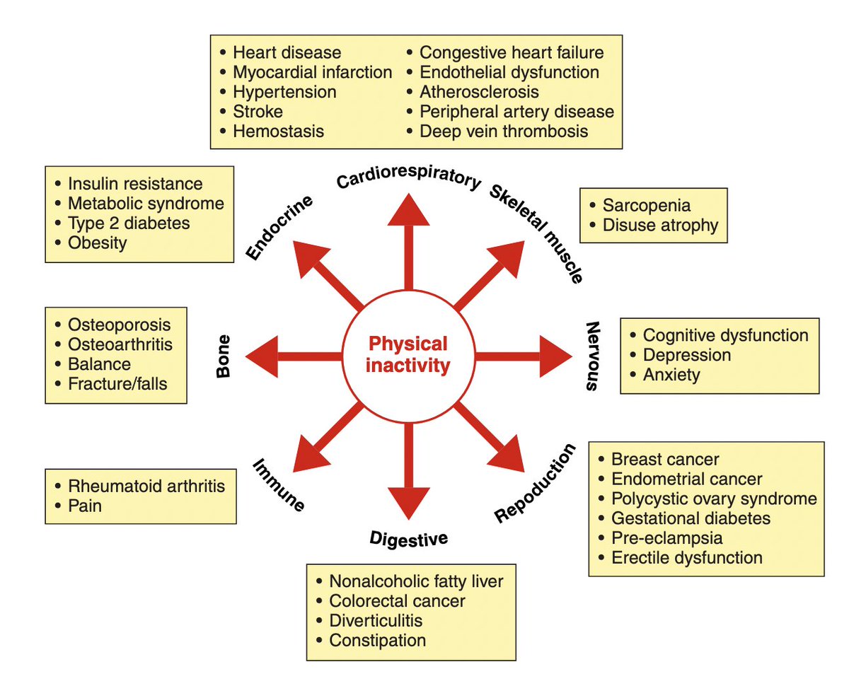 Aunque se subestima, la ⚠️ #inactividadfísica ⚠️ contribuye a al menos 35 enfermedades crónicas no transmisibles, incluidas la mayoría de las 10 principales causas de muerte en los países desarrollados

journals.physiology.org/doi/epdf/10.11…