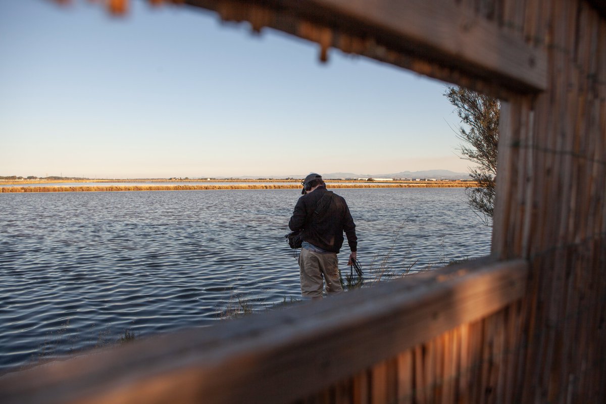 Tim Shaw tweet media