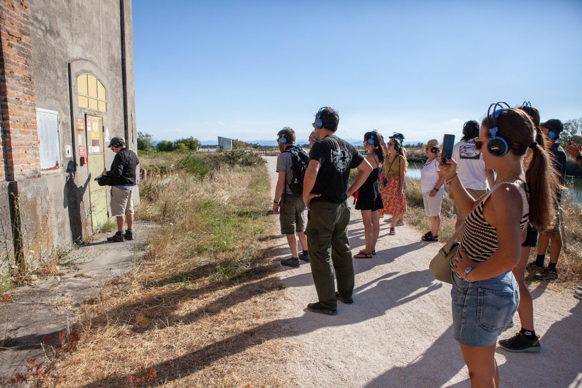 Tim Shaw tweet media