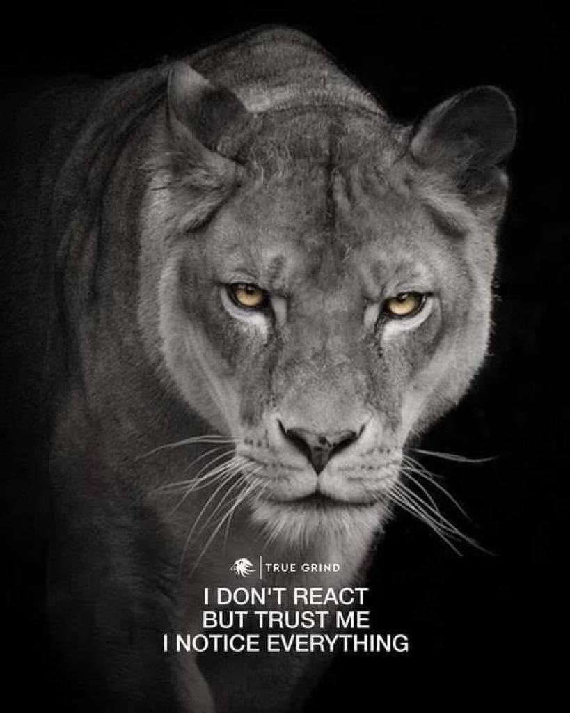 Hardik khatri tweet media