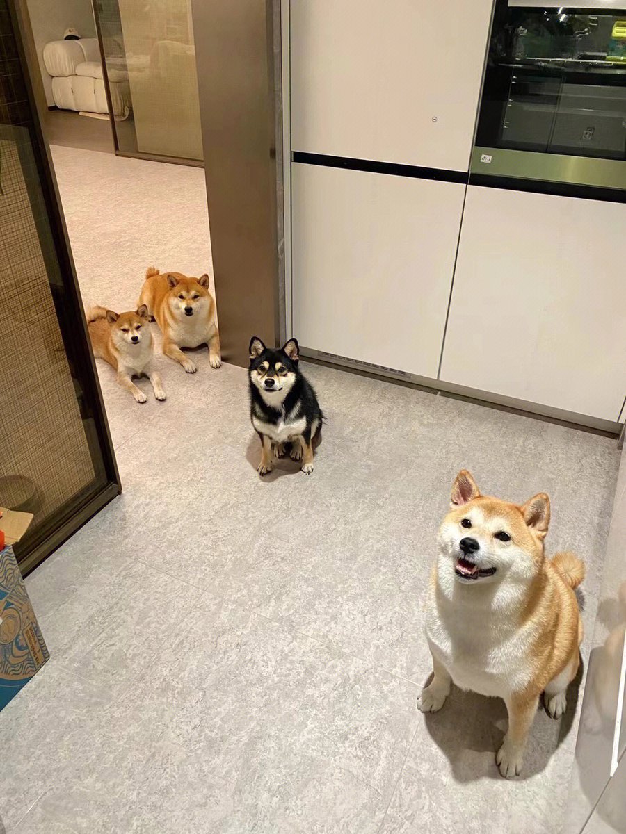 wgdbfns's tweet image. I&apos;m at my friend&apos;s house right now. Can we talk later