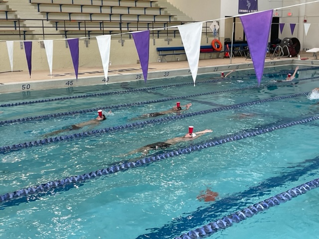 northhighswimm's tweet photo. Having a little fun while working on head position in backstroke during practice.😀 https://t.co/aKJrinDPBU