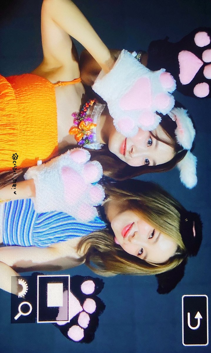 ldd_49's tweet photo. 220813

팬싸에 아기고양이들 등장 충격...💥

#우아 #루시 #김다은 #wooah #lucy https://t.co/g6pnLK4BGD